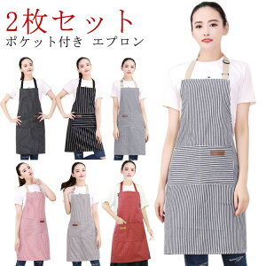 p jp eʃ|Pbg | Vv JtFGv H^ Y fC[X Gv 2Zbg  ɂ n Vh~ jp m[AC Ȃ |Pbgt