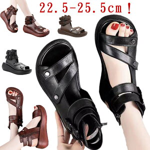 rT_ u[cT_ V[gu[c fB[X Xj[J[ ău[c I[vgD T_ RtH[g  t EGbW\[ EFbW\[ u[cT_ T}[