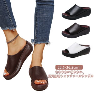 ~[T_ EGbW\[ V[Y C fB[X T_ T{T_ I[vgD  Xbp b ₷ T_ T{ T_ T}[u[c ɂ L 