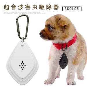 g   gQ쏜 쏜 lY~ L Q Q쏜 A l gQ쏜  Q쏜 쒀 USB[d SLu _j N 悯 m~ 悯 ΍ AEghA Lv 