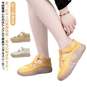 fB[X r  Xj[J[ PU Xj[J[ T_ wlC q[4cm Ȃ Xb| ʋCbV ₷ Ȃ ₷ T_Xj[J[ ؍ Xj[J