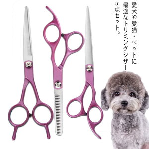 g}[ ybg oT~ ybgenT~ VU[ 5_Zbg Jbg  [P[Xt ؂ꖡQ R[ nT~ g~OVU[ L ybgp͂ ybgpi e ͂ S 