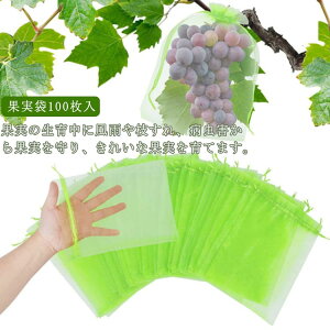 Q\h  悯lbg  ʕ ʎ т \h یlbg  100 В ʎ ʎ t[c bV hlbg ʎ ی Ԃǂ ʎ ʋC Ȃ ʎ ݂