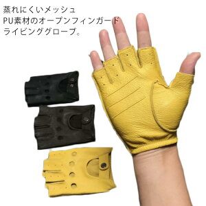 v jp ^] wO[u PUU[O[u   I[vtBK[O[u tBK[X Y ėp oCN  wȂ hCrOO[u wʂ  ~