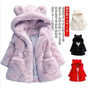 {A AE^[ t LbYR[g LbY t[htR[g xr[ {AAE^[ xr[ {A AE^[ p[J[ gbvX  ӂӂ  R[g N} LbY WPbg {