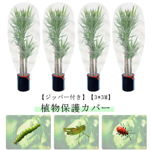 hlbg Wbp[t Aی Wbp[t 3*3M t@Xi[t ؍͔| |plbg  AیJo[ hlbg x_ DIY ʎ ݂ _ ؉v^[p O |p