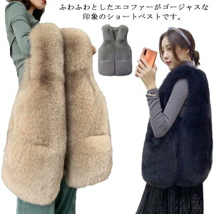 GRt@[ AE^[ ~ tFCNt@[ Z~O i t@[W t@[xXg ӂӂ H tF~j єxXg fB[X O[ ubN GKg t@[xXg h g 