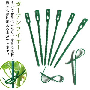 K[fC[ 13cm 20{Zbg 50{Zbg 100{Zbg ^CC[ |p^C K[fjOP[u^C P[u^C K[fc[ \tgC[ O[ ˂Œ  O 