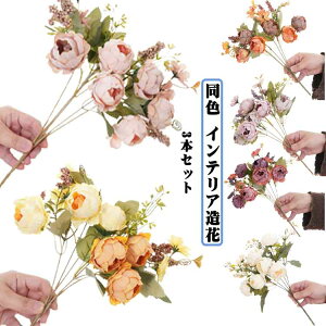  F A tFCNt[ o[Xf[ lHA CeA a 3{Zbg j ͂Ȃ t̉  m tFCNt[ fBXvC Be ϏܐA  DIY p[eB[ 