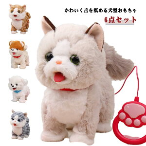 Lbg `邠  dqybg dߋ L 񂿂 6_Zbg ʂ  R~jP[Vybg Ⴈ[ [ ʂ o[`ybg qp