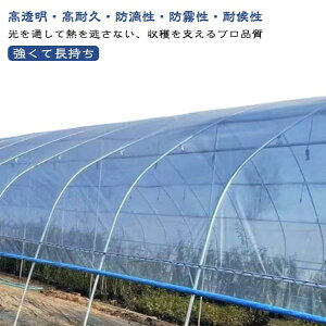 POtB POtB 0.08mm~0.15mm rj[tB  _Ǝ rj[nEX rj[V[g _Ɨp _|  1m 5m 10m _POtB |pi ƒ؉ ͔|  nEXtB g