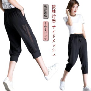 Y{ ڐG⊴ Nbvhpc 7pc  {gX  e[p[hpc Ђ TChbV fB[X JWA ⊴  X|[cEFA  G [EF