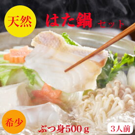 楽天市場 ハタ 魚 の通販