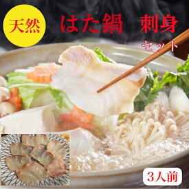 楽天市場 ハタ 刺身の通販