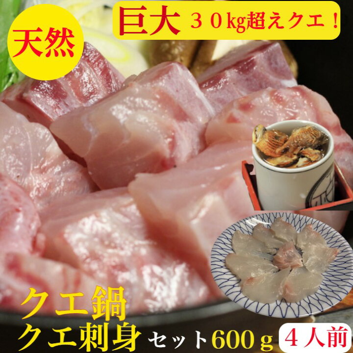 楽天市場 クエ鍋 30キロ級 天然 くえ鍋 と クエ刺身 セット クエ の上品な旨みを堪能 鍋はたっぷりクエぶつ身500ｇ クエ刺身 100g クエひれ2枚 玄界灘産 3 4人前 ポン酢 クエ出汁 薬味 クエひれ 簡単レシピ付 くえ刺身 プレゼント 海鮮ギフト 御祝 天然クエ ふぐ