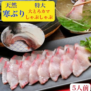 ぶりしゃぶ セット ぶり かま ブリしゃぶ 鰤【天然】大トロ【ぶりカマ】しゃぶ 北海道産 お歳暮【送料無料】刺身 トロ400g+大トロ【かま】350-400g前後2個 天然の旨みとコク4人前10