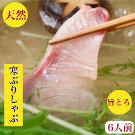 ぶりしゃぶ セット【天然】寒ぶり ブリ 寒鰤 しゃぶ　刺身　6~8人前【送料無料】　寒ぶり　トロ800g　養殖物では味わえない旨みとコク！血合い処理済【北海道産】10キロ以上物厳選 ぽん酢　特製出汁ラーメン200×4昆布紅葉おろしレシピ　御祝 　ギフト