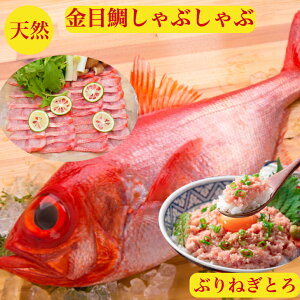 ڑ Ԃԁ@ڑ̂Ԃԁ@Ԃ ˂Ƃ@j@Zbg@ڑ hg@ɓ@Εyz񂹁@lMg 150gO×2@ 3lO@߂@L_Cy