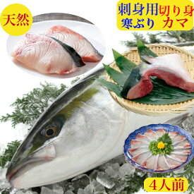 ぶりかま ぶり 刺身 で食べられる 切り身【ブリ】鰤【天然】寒ぶりしゃぶ 刺身 用 骨なし 切り身＋カマ　お歳暮　送料無料　希少10キロ前後サイズしっとり身質 切り身3+大とろかま1個で合計700gかま 350g前後+切り身120g前後×3個 3−4人前 小分け レアステーキ 塩焼 刺身