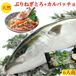 Ԃ hg  uhg  ˂Ƃ Jpb` VR hg Zbg@125g×3M@u 𓀂邾 T_pӂ邾@ZȒP@Εyz Ԃ lMg 150gO