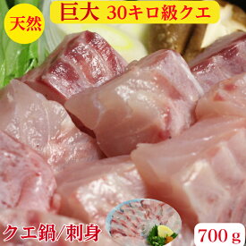 クエ鍋 クエ 刺身 幻の30キロ級 クエ 天然（くえ鍋 クエ刺身 2皿　セット）送料無料　上品な旨みを堪能！鍋はたっぷりぶつ身500g クエ刺身 100g×2皿で200g 伊豆大島産　3〜4人前ポン酢クエ出汁薬味レシピ付　プレゼント　ギフト　御祝