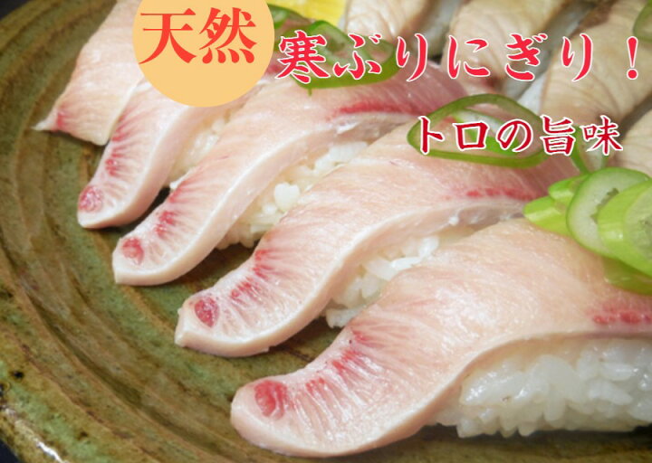 楽天市場 お中元 天然 刺身 ぶりしゃぶ ８人前 寒ブリ セット 寒ぶり 鰤 トロ800ｇ 養殖物では味わえない 寒ぶり の旨みとコク 血合い処理済 ぶり 10キロ以上物厳選 ぽん酢 特製出汁 ラーメン２００ ４昆布 ゆずこしょう紅葉おろしレシピ 御祝 ギフト 天然