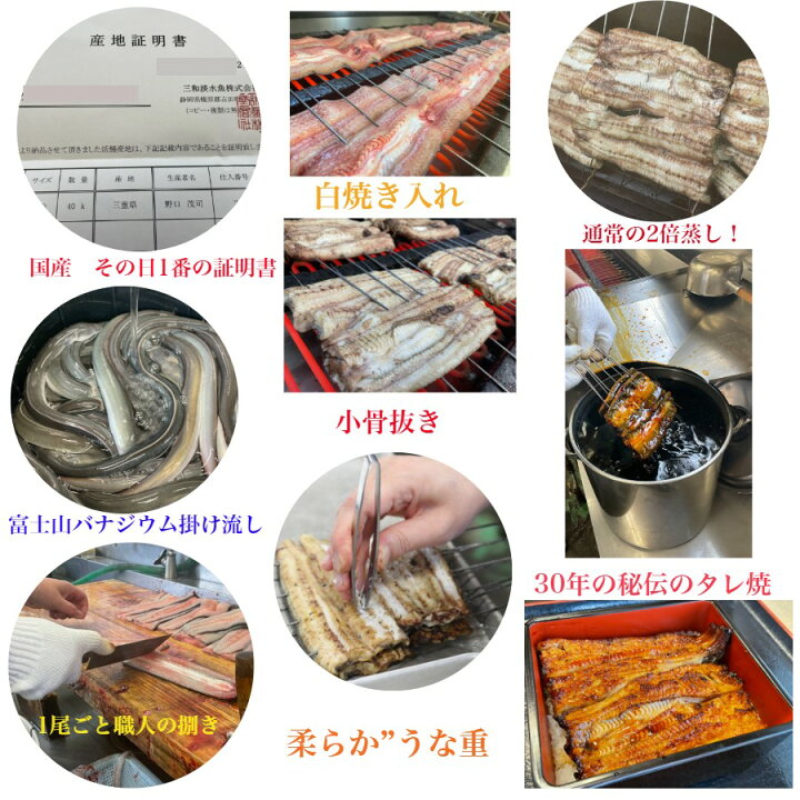 楽天市場 骨抜き うなぎ 国産 ２尾 うなぎ ふっくらとろける 鰻 送料無料 敬老の日 富士山流水 うなぎ蒲焼き 国産 2尾 2 3人前280g前後半身ずつ カット 小分け 真空 4パック 職人の手焼 骨抜き済 うな丼4杯分 富士山天然バナジウム3日かけ流し ギフト