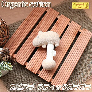 XeBbN KK Ԃ  / Jso XeBbNKK |vLYxr[ pompkins / { ɂɂ xr[ I[KjbNRbg  NX}X NX}Xv[g