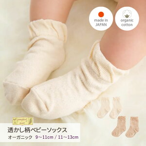 xr[ \bNX xr[\bNX tH[} oYj I[KjbNRbg   n Vv N[\bNX j̎q ̎q |vLY xr[ { C oYj Ԃ M