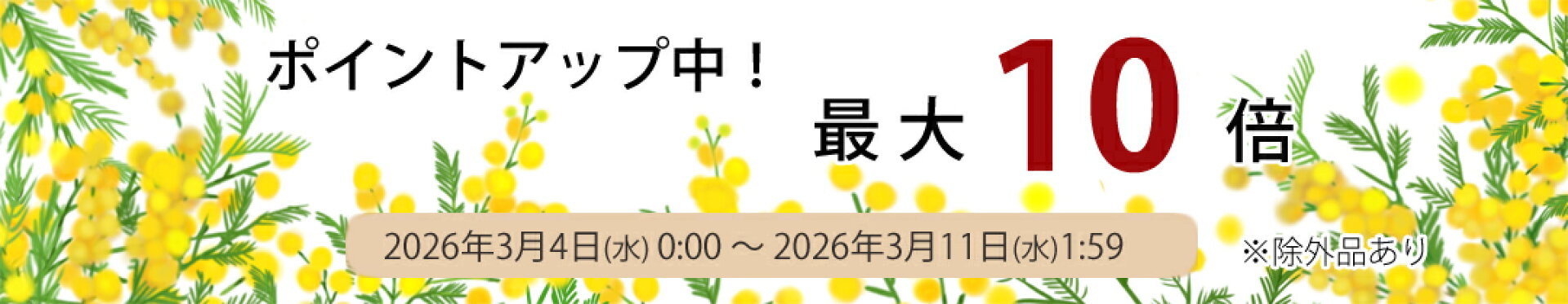 ポイント最大１０倍