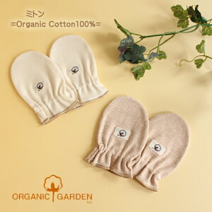 yő500~OFFN[|!z ~g xr[ / I[KjbNRbg I[KjbNK[f ORGANIC GARDEN { I[KjbN Rbg  oY oYj Ԃ Mtg v[g / xr[