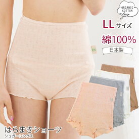 オーガニックコットン 下着 腹巻ショーツ LLサイズ 綿100% / Leaf Cube Organic シュガーレングス ショーツ パターンメッシュ 105110-1 オーガニック コットン 綿 股上深め 日本製 腹巻 ショーツ ピンク グレー ブラウン 生成り