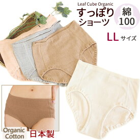 綿100% ショーツ オーガニックコットン 下着 【すっぽりショーツ LLサイズ 】105107-1 / Leaf Cube Organic ハニーヴァモ 締め付けない ショーツ 綿 パンツ レディース ピンク グレー ブラウン オフホワイト 日本製