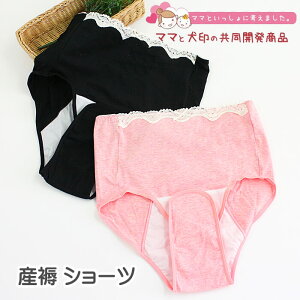{ YV[c Y Y傭 V[c / Yp V[c Nb`I[v @ ȍ Ci[   V[c pc }^jeB[  INUJIRUSHI
