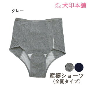 y[֑z { YV[cSJ^Cv / Y Y傭 V[c 100 ɂ₳ Nb`I[v 鉤؊J @  lCr[ O[ M L  Ci[ Y IN