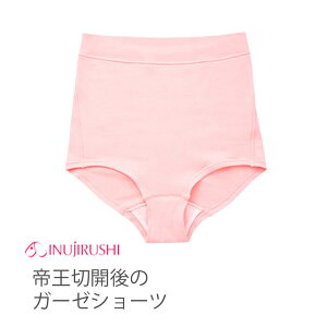 y[֑z { }^jeB 鉤؊J̃K[[V[c Ci[ pc V[c   }^jeB[ 鉤؊J p p  ی Y sN M L LL K[[