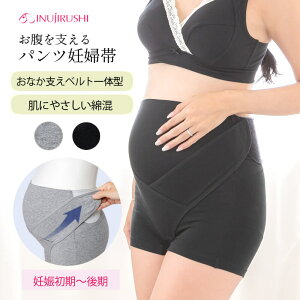 { ɂ₳ xDw xǧ^ K[h }^jeB Dw  Rbg }^jeB[   Ci[ YO ̓ INUJIRUSHI