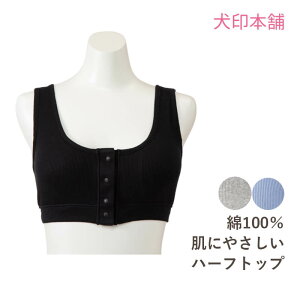 y[֑z 100 n[tgbv BR1697 OJ tgI[v u ۃpbht u I[KjbNRbg u }^jeB { }^jeB[  ubN O[