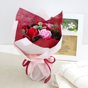 tOXt[ v[g ̓  Ǝ 搶 y ʉ w w \ a ސEj Cj Iׂ郁bZ[WJ[h u[P  \[vt[  LO 