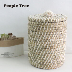 s[vc[ WtoXPbg ӂt oXPbg i` Vv [ VRf [{bNX ӂ W