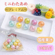 【 ミニわたあめ プレミアム / 10個入り 】 ハロウィン わたあめ工房なごみ コットン キャンディ わたあ…
