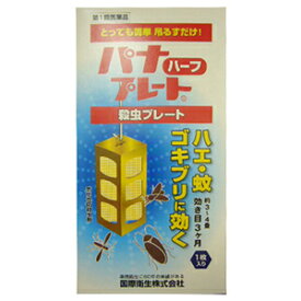 【第一類医薬品】パナプレート ハーフ(1枚入)