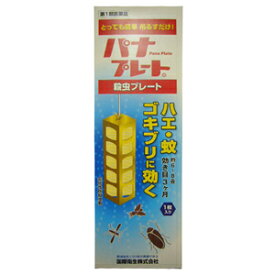 【第一類医薬品】パナプレート　120g　1枚