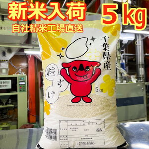 V yߘa7NYz  tY  5kg`[oN t̔  Ԃ