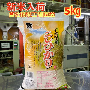 V yߘa7NYz  tY RVqJ A Ԕs 5kg  