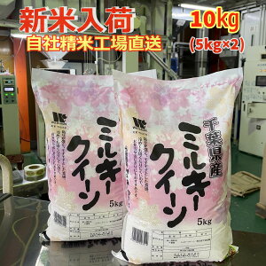 V yߘa7NYz  tY ~L[NC[ 10kg 5kg×2 