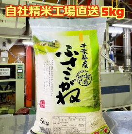 【令和5年産】 白米 千葉県産 ふさこがね 5kg 送料無料 美味しいお米