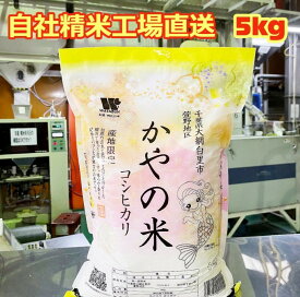 【令和5年産】 白米 千葉県産 コシヒカリ 特A米 かやの米 大網白里市 産地限定米 5kg 送料無料 美味しいお米