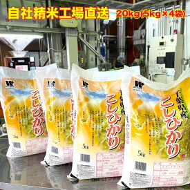 【令和5年産】 白米 千葉県産 コシヒカリ特A米 大網白里市 20kg 5kg×4 送料無料 美味しいお米