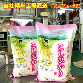 【令和5年産】 白米 千葉県産 エコ農産物 コシヒカリ 産地限定米 10kg 5kg×2 送料無料